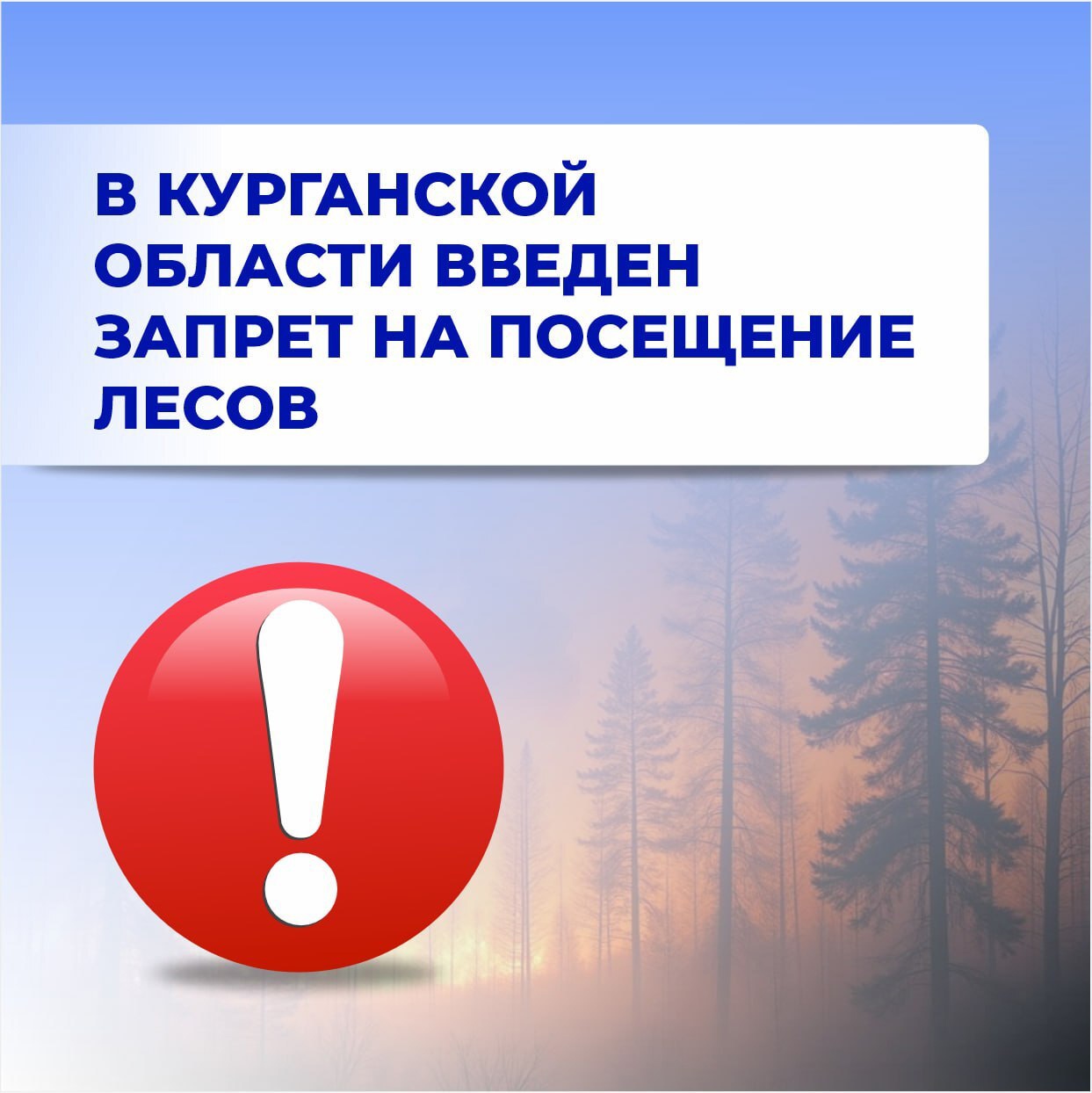 Запрет на посещение лесов.