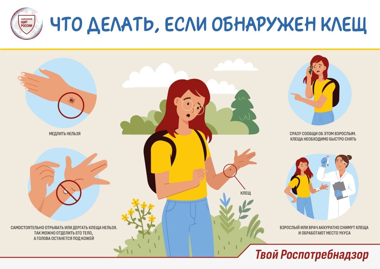 Что делать, если обнаружен клещ?.