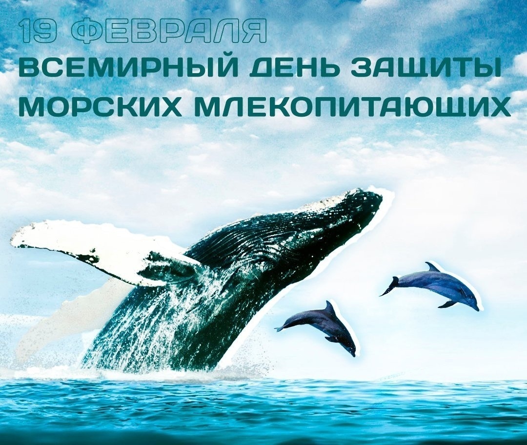Всемирный день китов.