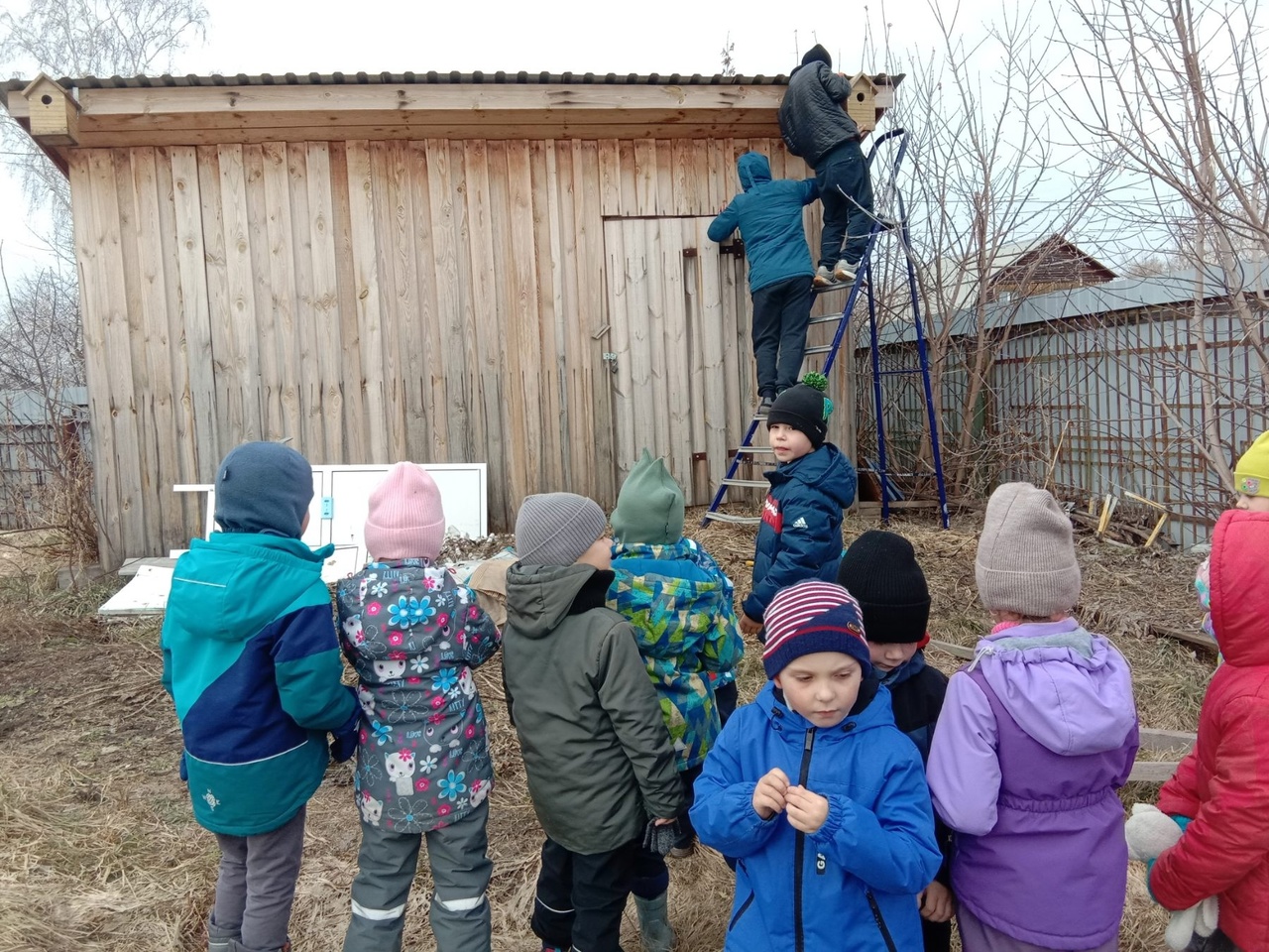 Подарим домики скворцам!.