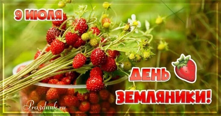 День земляники.