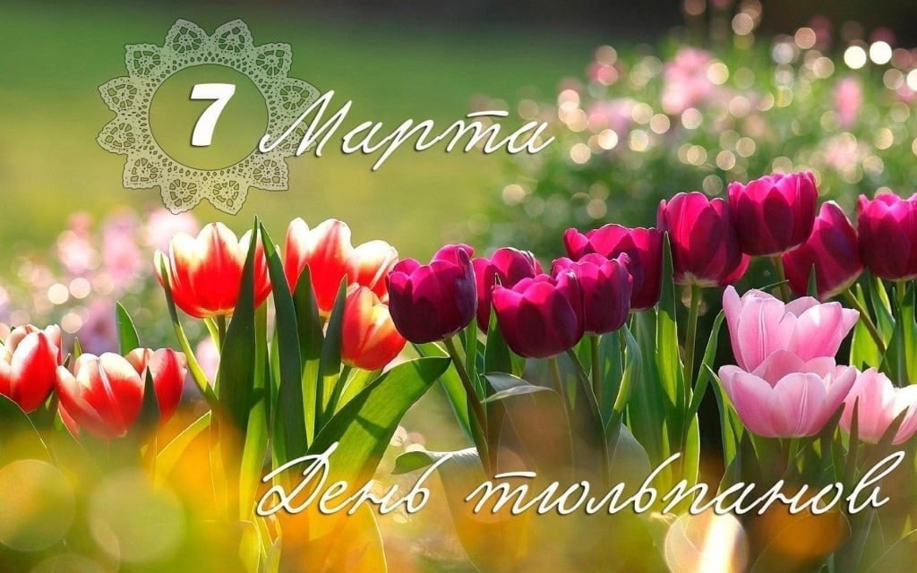День тюльпанов.